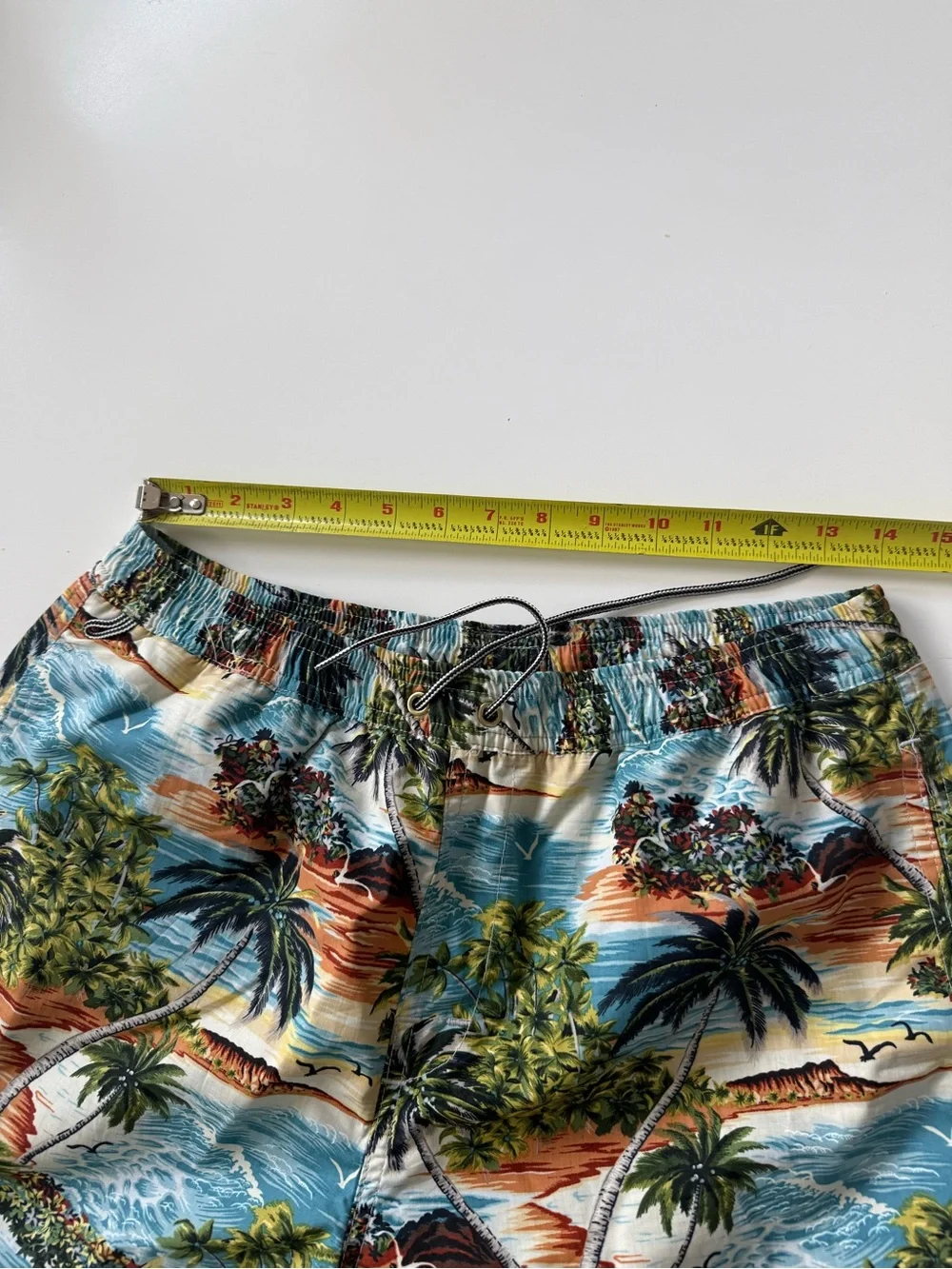 Birdwell Men’s Tropical Swim Shorts in Blue & Green